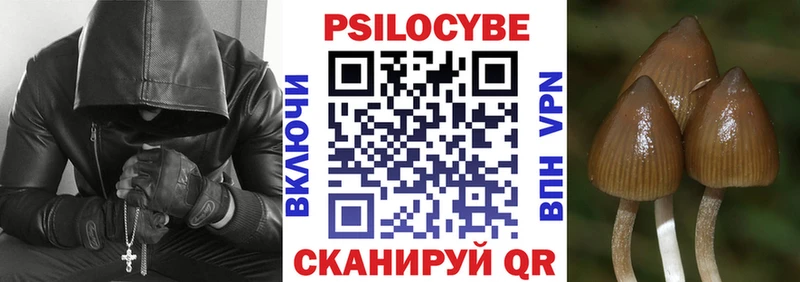 даркнет Telegram  Удачный  Псилоцибиновые грибы ЛСД 